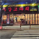 사상코다리
