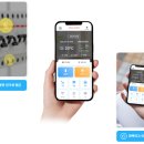 (주)엑스포시티 이미지