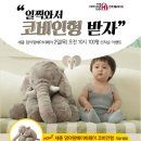 베이비독 이미지