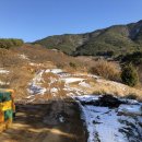 전일태양광발전소 이미지