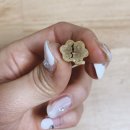 십자가축병원 | 대용량 강아지 수제간식 제로랩스 동애가득 져키 3종 후기