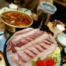당근술마시는노래방 - 창원시 의창구 의창대로62번길 9 | 당근술마시는노래방