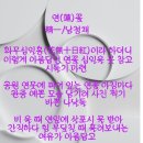 언(蓮)꽃 이미지