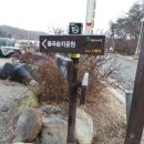 사목1리 Daum카페