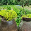 어사농장 이미지