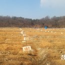 김종찬농장 경인일보