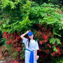 이쥐아이 | 광주 가볼만한곳｜무등산 관광 리프트·모노레일 왕복 이용 후기 (가격·소요시간·코스 총정리)