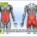 핏그로우 이미지