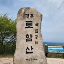 2023.4.23 토함산,석굴암,불국사,불국사왕벚꽃축제 이미지