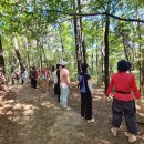 수원-1200 이미지