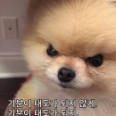 두번째 목요일