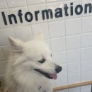 원종동물병원 이미지