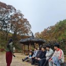 깊은 치유 | 공주 마곡사에서 보낸 이틀간의 깊은 쉼🌙 시나브로 치유길 체류형 프로그램 후기