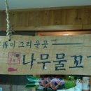 나무물꼬기