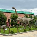 의식주컴퍼니 파주지점 | 파주 롯데아울렛 폴로 추가 세일 cp컴퍼니 바버 득템찬스