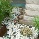 솔루나안경원 이미지