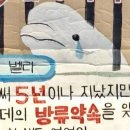 롯데월드의 ‘입막음 소송’ 사실상 패소… 너무 늦기 전에 “프리 벨루가” 이미지
