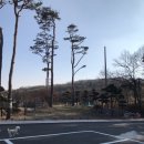 포레스트테일 이미지