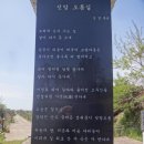 봄날의 제주도 13-6 / 추사의 고독을 생각하며 단산을 오르다. - 가파도, 알뜨르비행장, 섯알오름, 송악산, 단산(바굼지오름), 형제해안도로 이미지