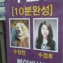 잘하는사진관 - 창원시 마산회원구 315대로 774 | 잘하는사진관