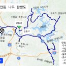 안동 대곡리 굴참나무 / 임하호 수몰지 위에 참나무 이미지