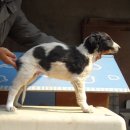 스테이 리네 이미지