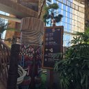 롯데워터파크(스파) | 김해롯데워터파크 겨울에 다녀온 솔직 후기