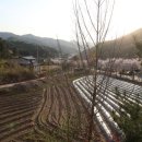 보헤미안펜션 이미지