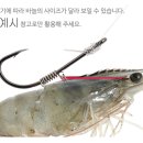 트리플프라자 이미지