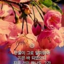 향기4로 이미지