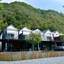 캠핑소리251 이미지