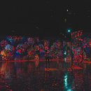 웅천청소년공원 이미지