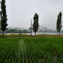 한강둔치길 이미지