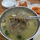 돌담할망보말톳칼국수 | 제주 보말죽 보말칼국수 | 돌담할망 보말 톳 칼국수