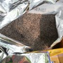 당고개약국 이미지