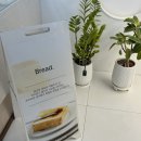 양덕동197 이미지