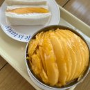 (혼)알마트 이미지