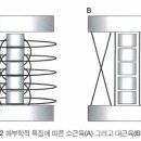 rehabilitation of spine 9- 회복기 첫 4주동안 재활- 척추분절 안정화 운동 이미지