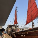 루나트립 이미지