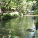 진산자연휴양림캠핑장 이미지