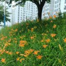 삼인목장 이미지