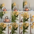 여름에 어울리는 캔들공예 | 캔들자격증 후기 한국양초공예협회 아로마지도사범 캔들공방 마곡캔들자격증