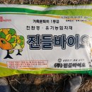 주식회사 진바이오 이미지