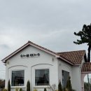 부안 알땅카페 내돈내산 후기
