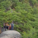 단양마중 이미지