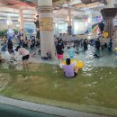 미리내스크린골프 | 🏖 웅진플레이도시 워터파크·아쿠아리움 후기 | 티켓 가격, 할인, 준비물, 식당, 수영복 대여까지 총정리!