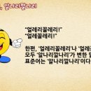 얼레리꼴레리
