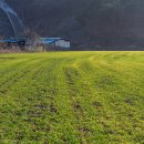 한우사육장 이미지