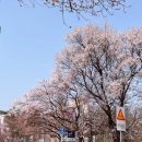여의서로1길 이미지