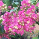 양유정어린이공원 이미지